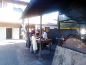 479899561 29262934356627071 572854281359729063 n 